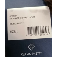 Gant Jacket/Coat Cotton in Green