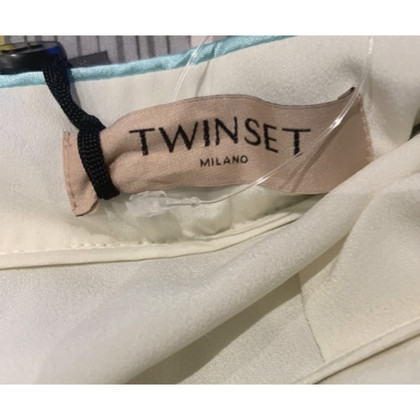 Twinset Milano Skirt Silk in Silvery