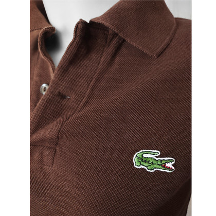 Lacoste Top Cotton in Brown