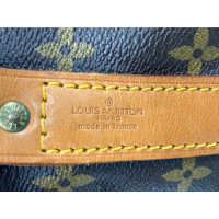 Louis Vuitton Reistas Canvas in Bruin