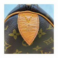Louis Vuitton Speedy 25 in Tela in Marrone