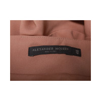 Alexander McQueen Jupe en Rose/pink