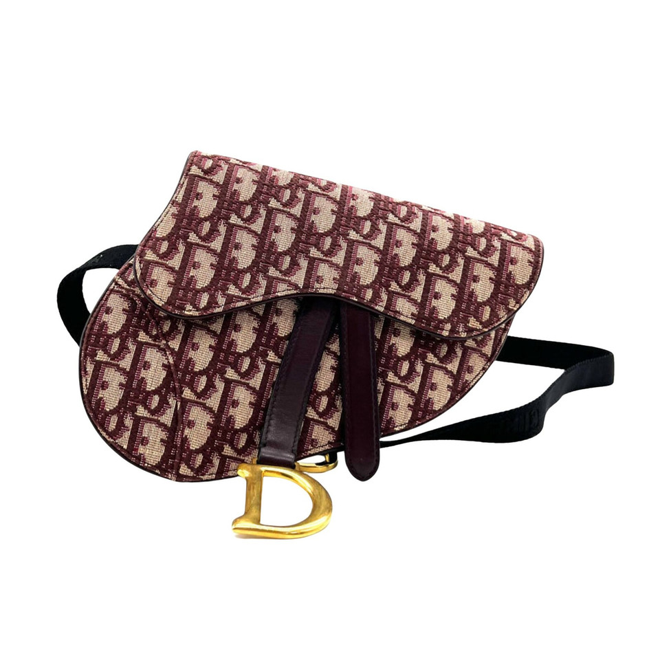 Dior Saddle Bag Canvas in Bruin