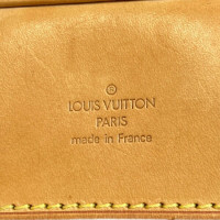 Louis Vuitton Evasion Canvas in Brown