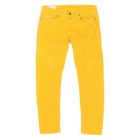 Dondup Jeans in Cotone in Giallo