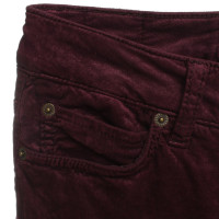 Drykorn Pantalon velours Bordeaux