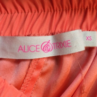 Alice &Trixie completo pantalone