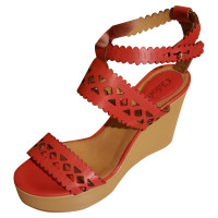 Chloé Sandals with lace pattern