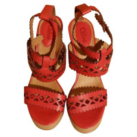 Chloé Sandals with lace pattern