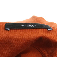 Windsor Top en Coton