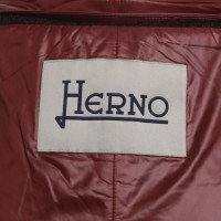 Herno Winter jacket in dark red