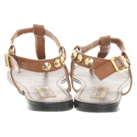 Steve Madden Sandals Leather in Brown