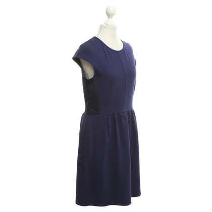 Max & Co Dress in blue / violet