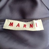 Marni Jurk