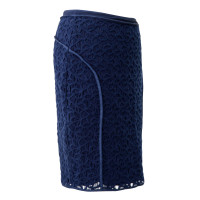 Reiss skirt in dark blue