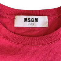 Msgm Knitwear Cotton in Fuchsia