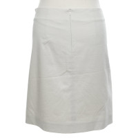 Max Mara Skirt Cotton in Beige