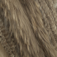 Oakwood Fur vest in light brown