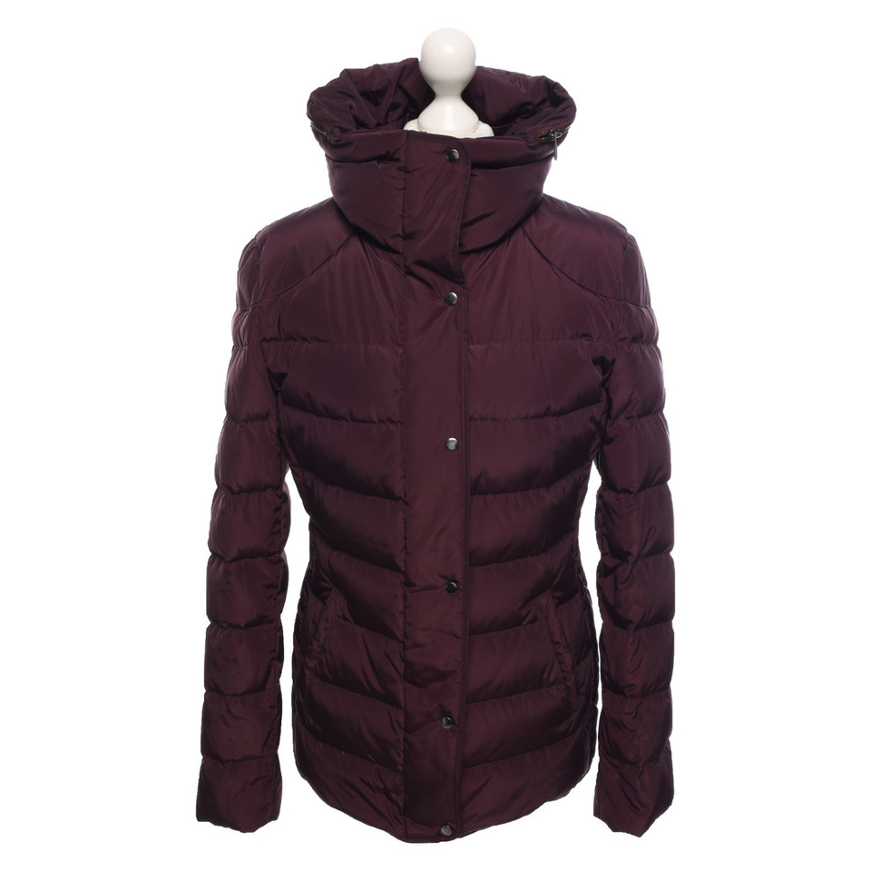 Hugo Boss Giacca/Cappotto in Bordeaux