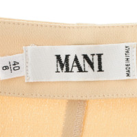 Mani Silk top 