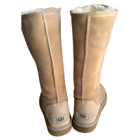 Ugg  Classic Tall Boots