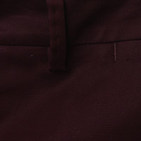 Drykorn Pantaloni in rosso scuro