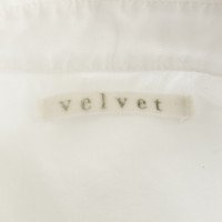 Velvet Long blouse cotton
