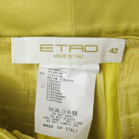 Etro Hose in Neongrün