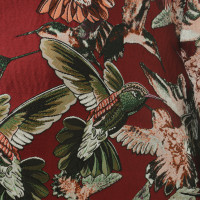 Pinko Coat with Hummingbird print