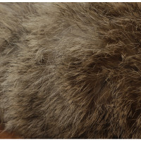 Belstaff Jacket with fur trim