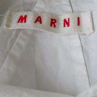 Marni Camicetta