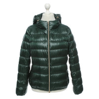 Herno Giacca/Cappotto in Verde