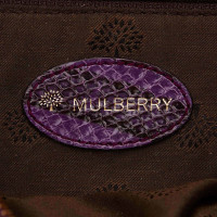 Mulberry Python Mabel