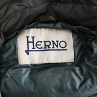 Herno Veste/Manteau en Vert