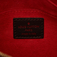 Louis Vuitton Damier Sauvage Tigre