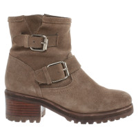 Steve Madden Ankle boots Suede in Brown