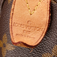 Louis Vuitton Monogram Flanerie 50