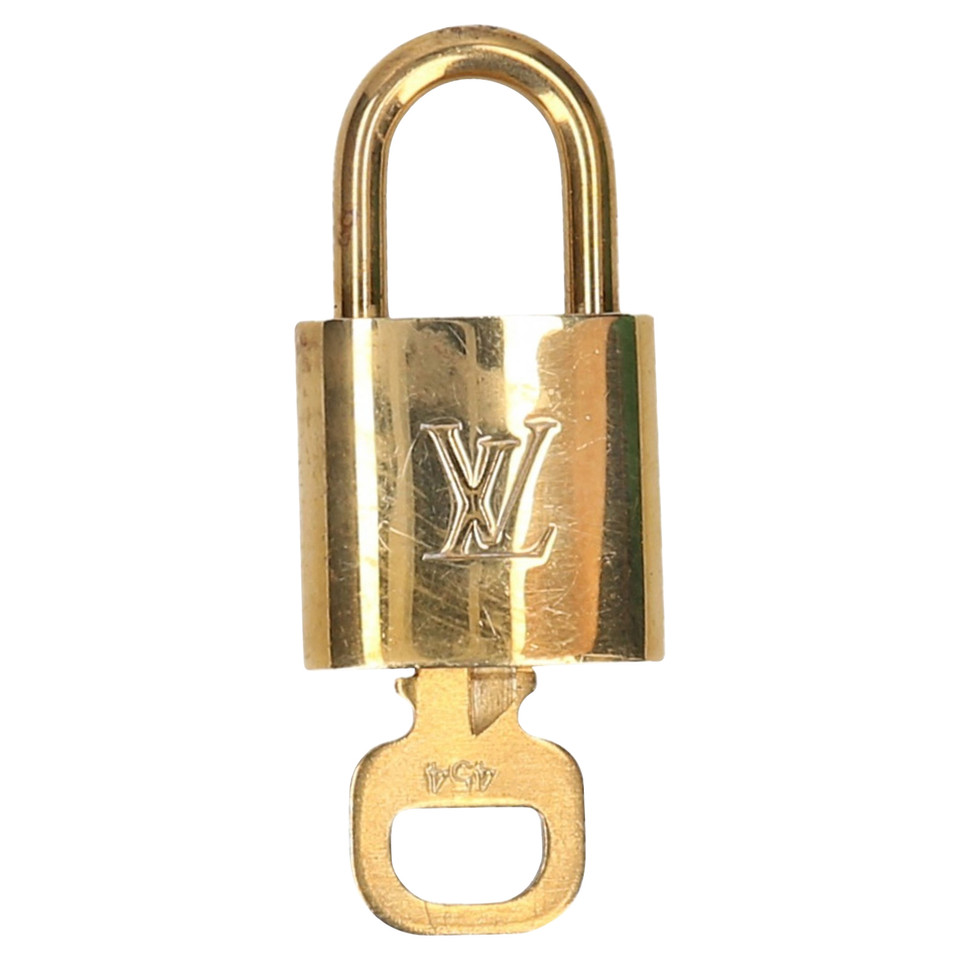 Louis Vuitton Accessoire in Goud