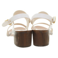 Ancient Greek Sandals Sandals in White