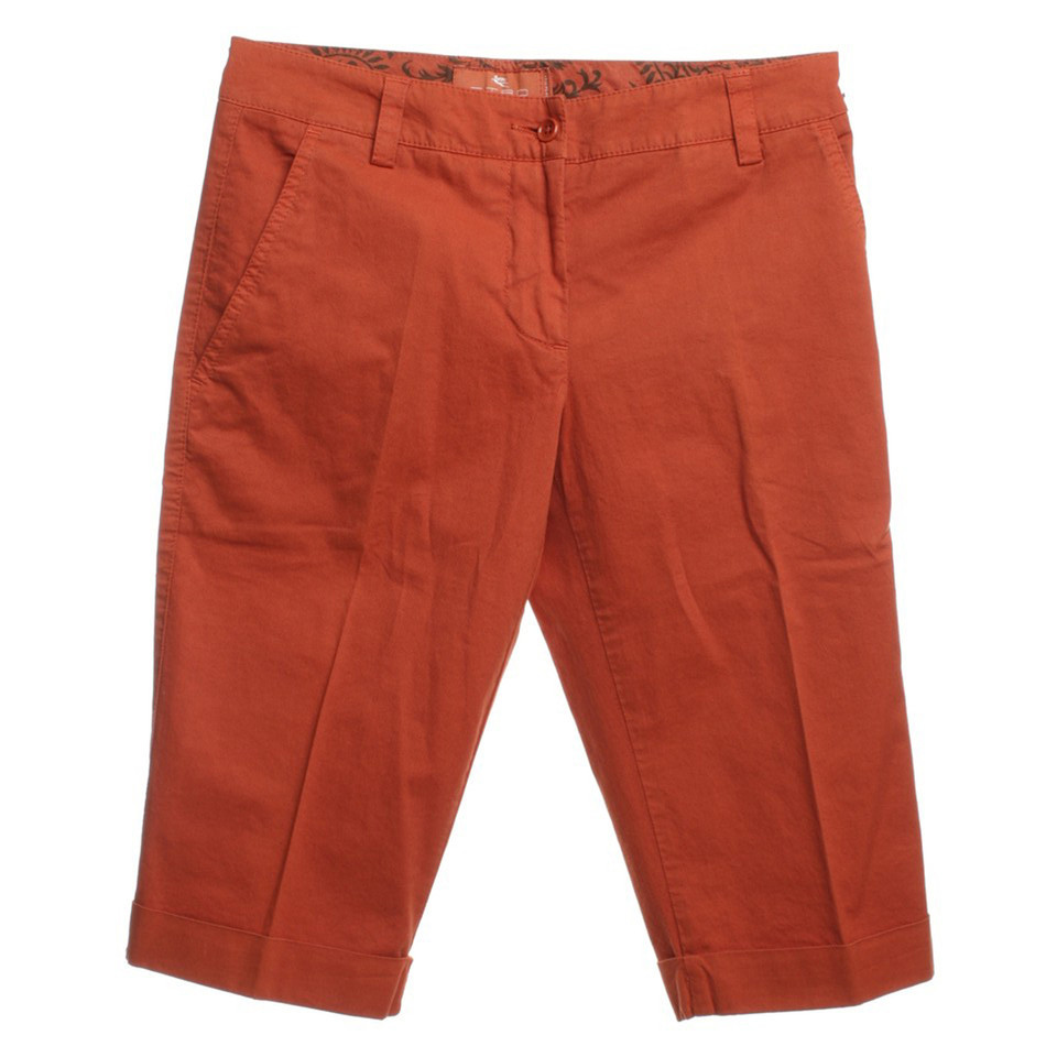 Etro Shorts in Orange