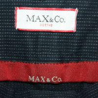 Max & Co skirt