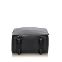 Louis Vuitton "Pégase 50 taiga leather"