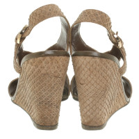 Sergio Rossi Wedges aus Pythonleder