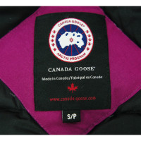 Canada Goose Bomberjacke in Fuchsia