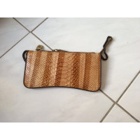 Mcm clutch in look rettile