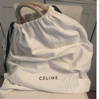 Céline Phantom Luggage in Pelle in Beige