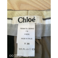 Chloé Shorts in olijf