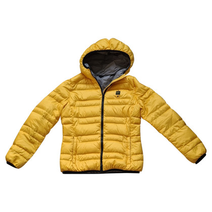 Blauer Usa Jacket/Coat in Yellow