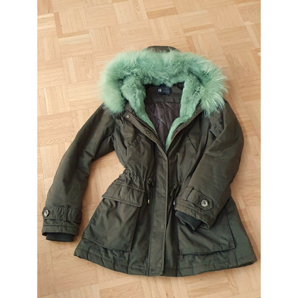 Iq Berlin Jacket/Coat Cotton in Olive