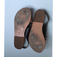 Ancient Greek Sandals Sandalen in driekleur